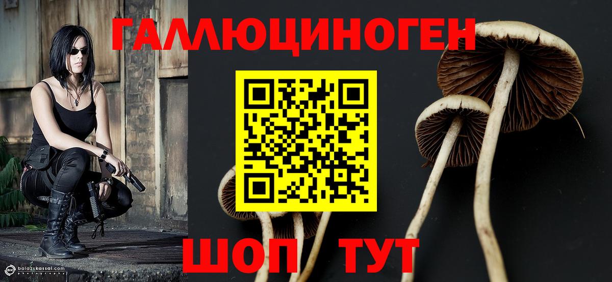 Калуга  Псилоцибиновые грибы Psilocybine cubensis  Вход с VPN 